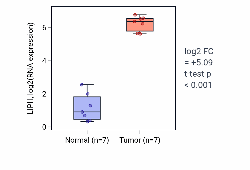 Tumor-vs-normal expression box plot for LIPH RNA in THCA.