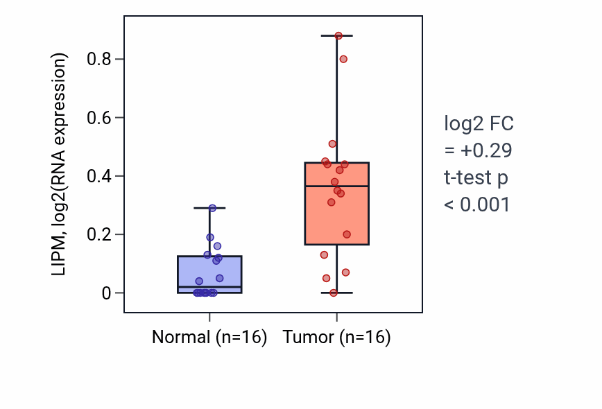 Tumor-vs-normal expression box plot for LIPM RNA in THCA.