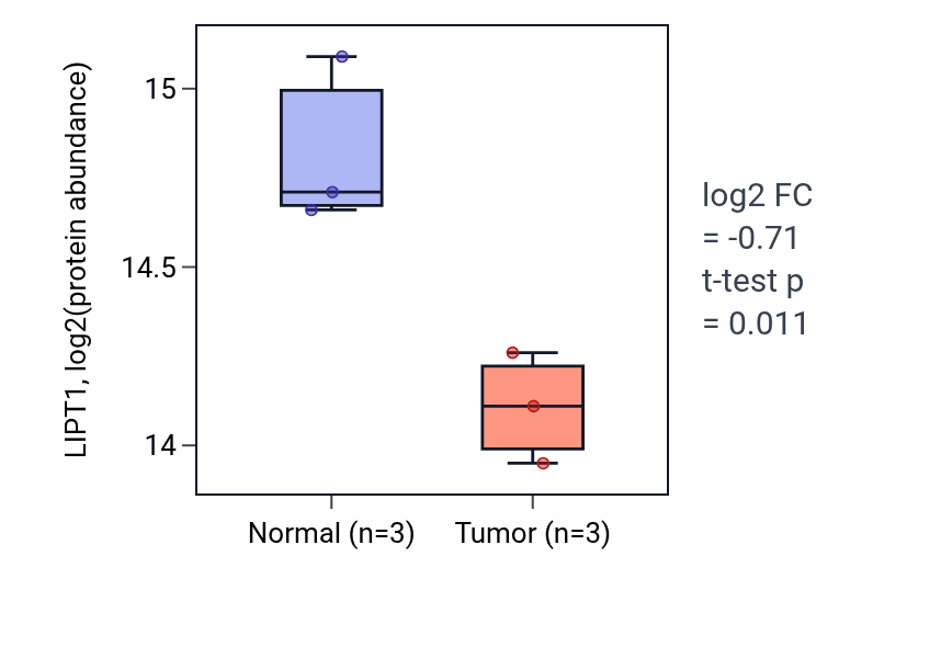 Tumor-vs-normal mass-spec protein box plot for LIPT1 in HNSC.