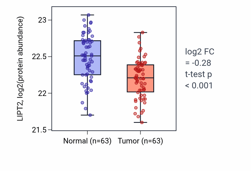 Tumor-vs-normal mass-spec protein box plot for LIPT2 in CCRCC.