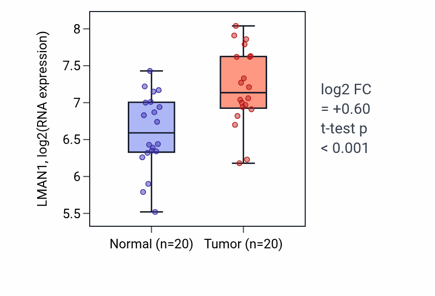 Tumor-vs-normal expression box plot for LMAN1 RNA in KIRC.