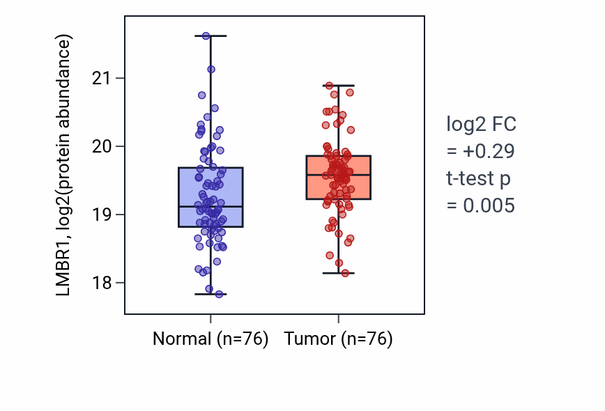 Tumor-vs-normal mass-spec protein box plot for LMBR1 in LSCC.