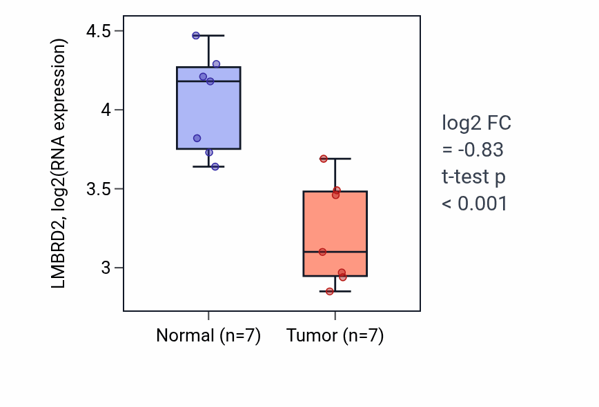 Tumor-vs-normal expression box plot for LMBRD2 RNA in THCA.