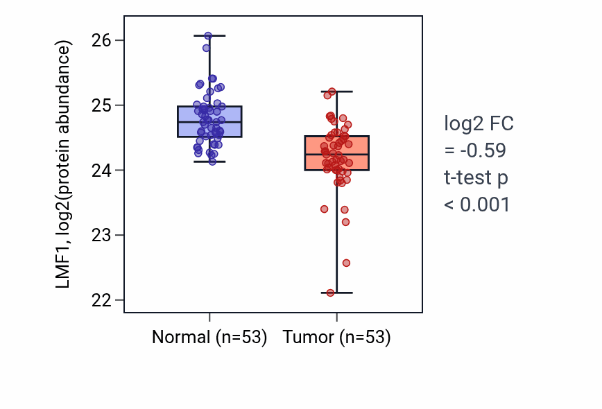 Tumor-vs-normal mass-spec protein box plot for LMF1 in HNSC.