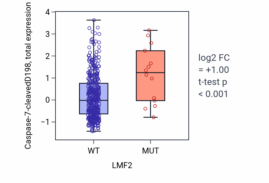 Box plot of Caspase-7-cleavedD198 in LMF2-low vs LMF2-high samples in UCEC.