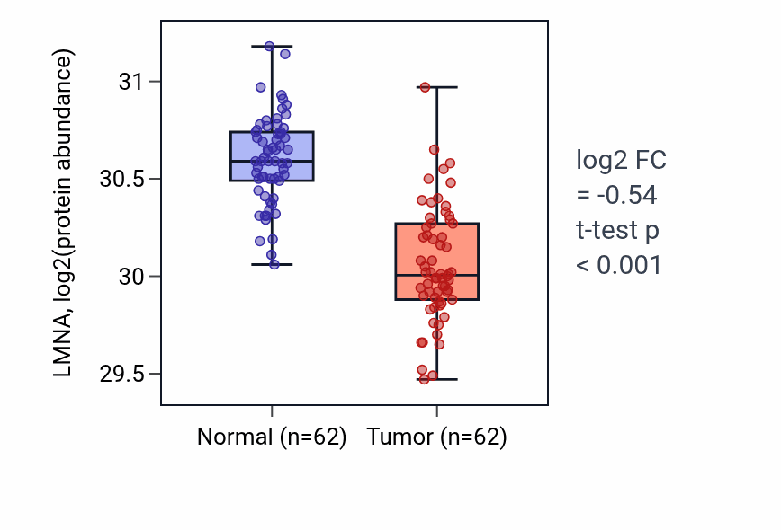 Tumor-vs-normal mass-spec protein box plot for LMNA in HNSC.