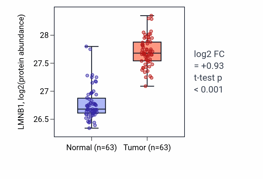 Tumor-vs-normal mass-spec protein box plot for LMNB1 in CCRCC.