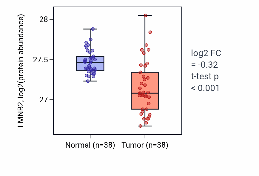 Tumor-vs-normal mass-spec protein box plot for LMNB2 in CCRCC.