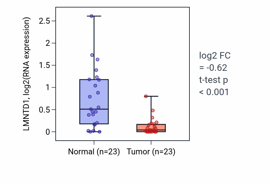 Tumor-vs-normal expression box plot for LMNTD1 in LUSC.
