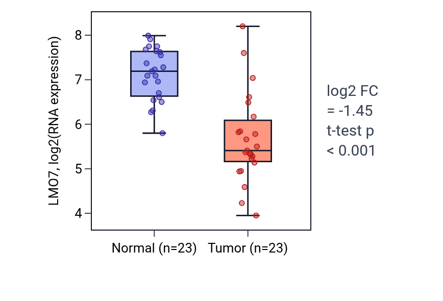 Tumor-vs-normal expression box plot for LMO7 in LUAD.