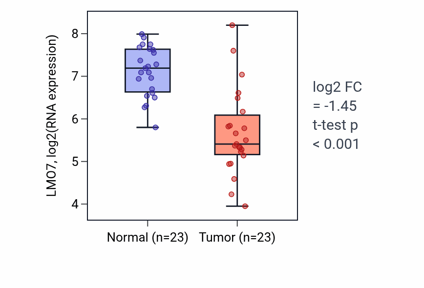 Tumor-vs-normal expression box plot for LMO7 RNA in LUAD.