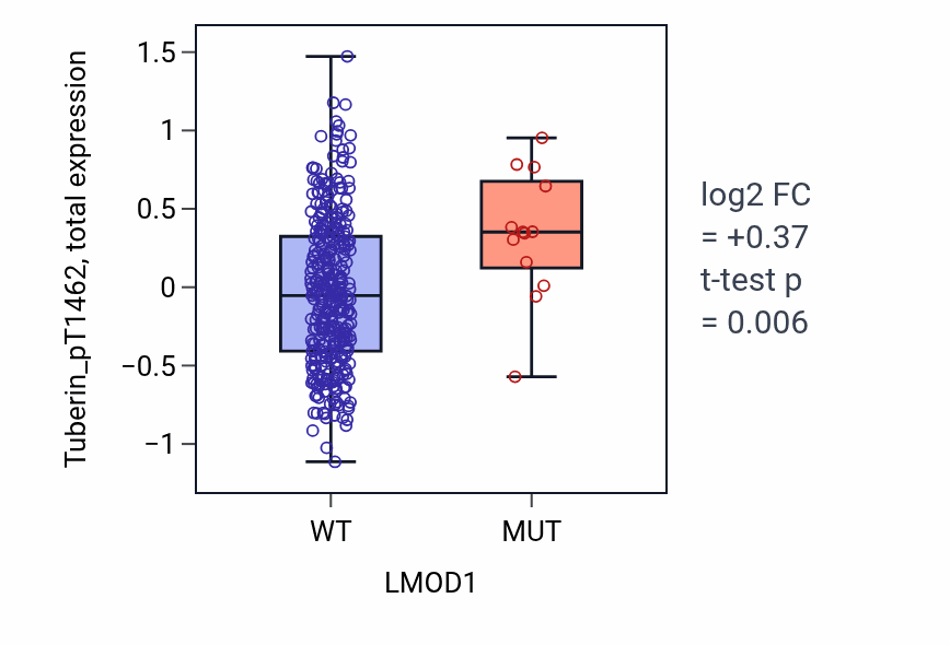 Box plot of Tuberin_pT1462 in LMOD1-low vs LMOD1-high samples in SKCM.