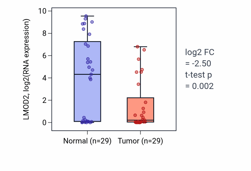 Tumor-vs-normal expression box plot for LMOD2 in HNSC.