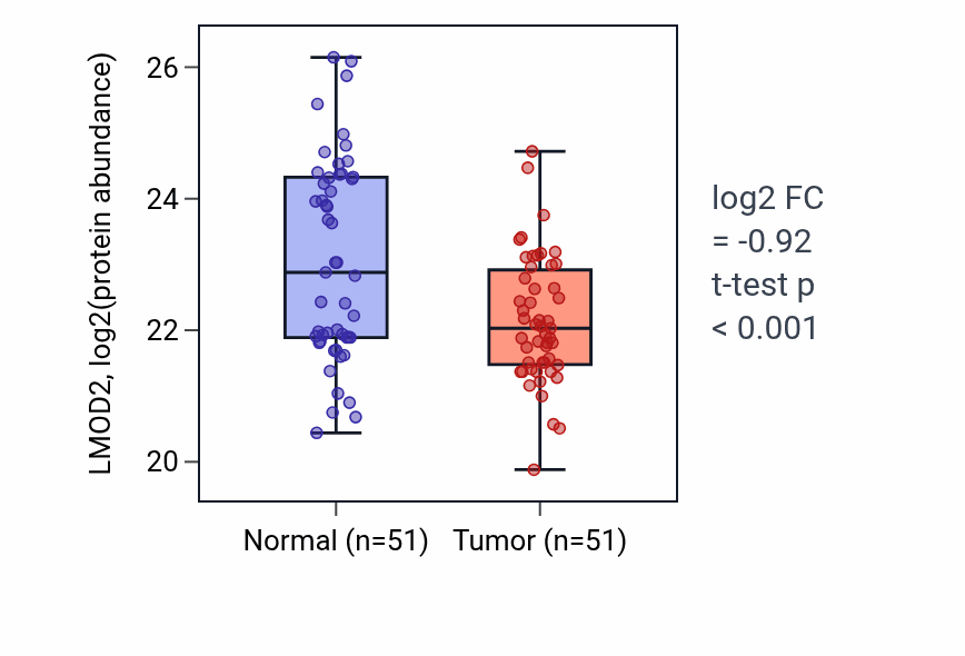 Tumor-vs-normal mass-spec protein box plot for LMOD2 in HNSC.