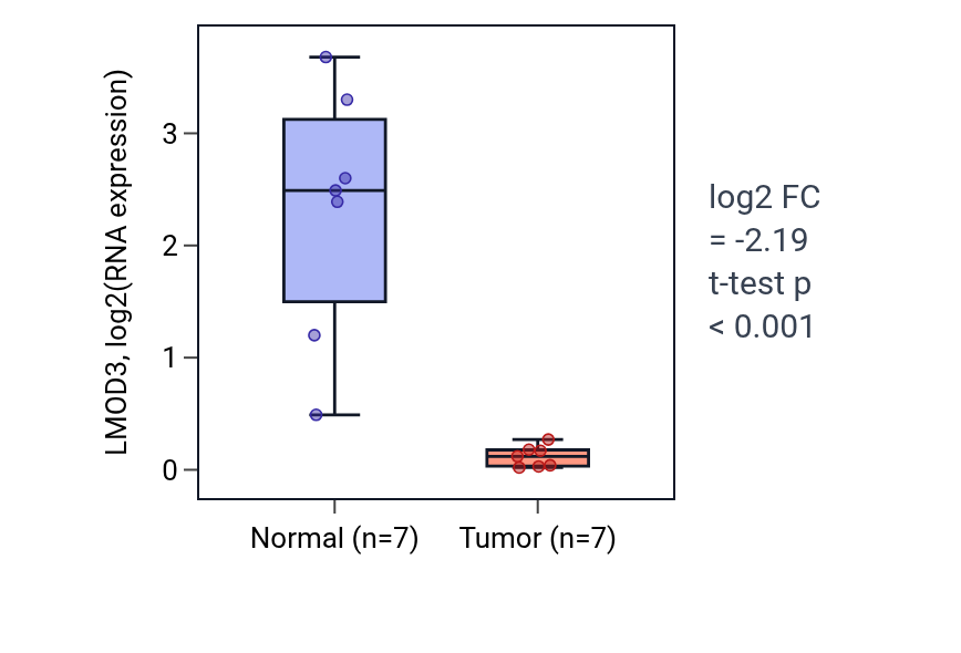 Tumor-vs-normal expression box plot for LMOD3 in BLCA.