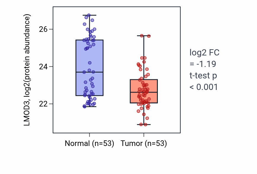 Tumor-vs-normal mass-spec protein box plot for LMOD3 in HNSC.