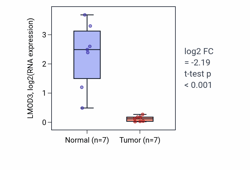 Tumor-vs-normal expression box plot for LMOD3 RNA in BLCA.