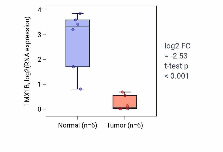 Tumor-vs-normal expression box plot for LMX1B RNA in KIRC.
