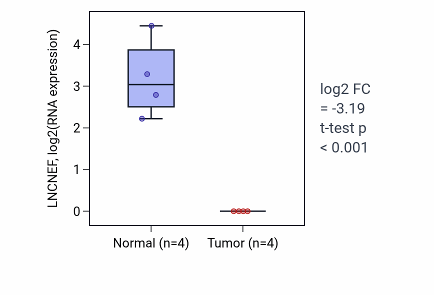 Tumor-vs-normal expression box plot for LNCNEF in THCA.