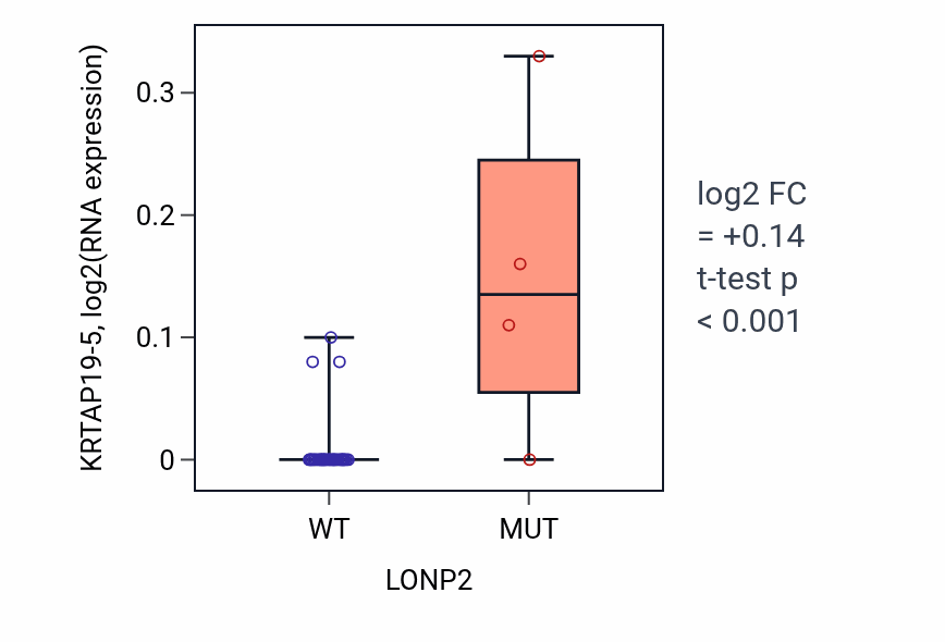 Box plot of KRTAP19-5 in LONP2-low vs LONP2-high samples in STOMACH.