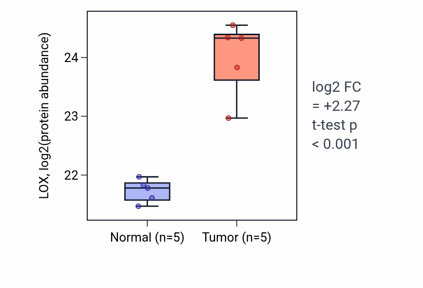 Tumor-vs-normal mass-spec protein box plot for LOX in CCRCC.