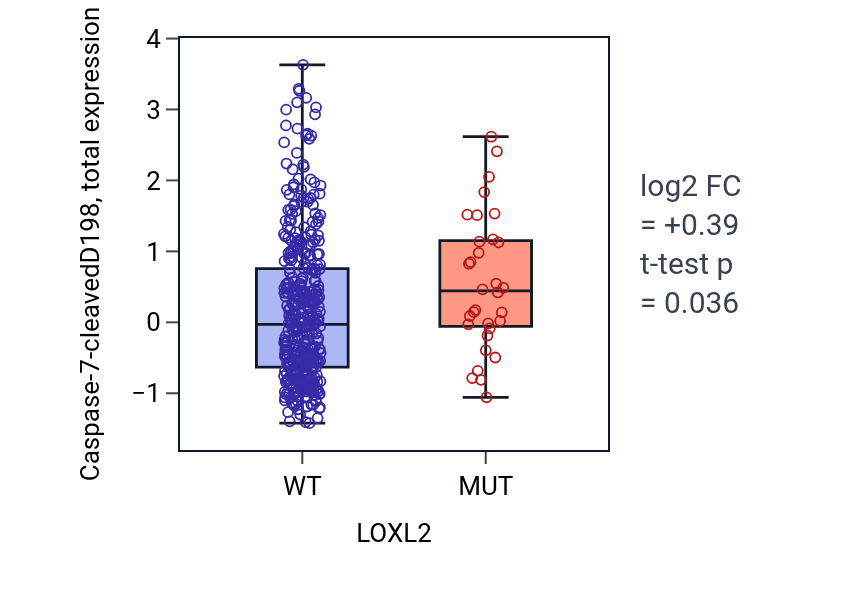 Box plot of Caspase-7-cleavedD198 in LOXL2-low vs LOXL2-high samples in UCEC.