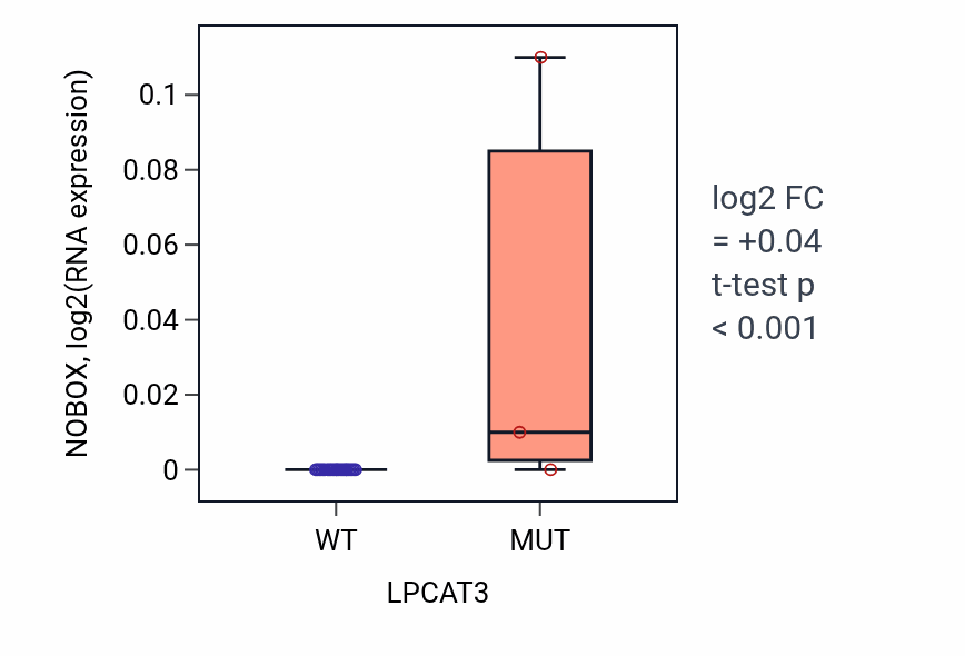 Box plot of NOBOX in LPCAT3-low vs LPCAT3-high samples in LUNG_NSCLC_LUSC.