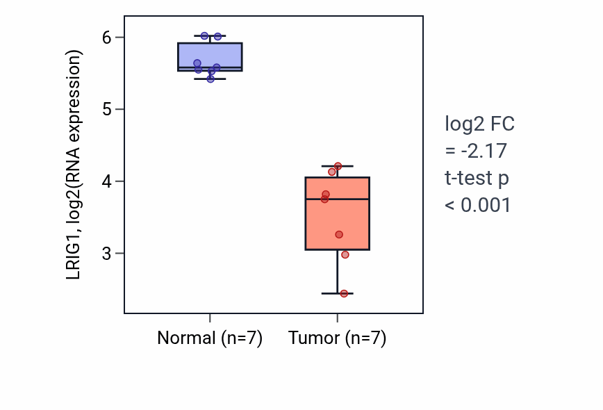 Tumor-vs-normal expression box plot for LRIG1 RNA in THCA.