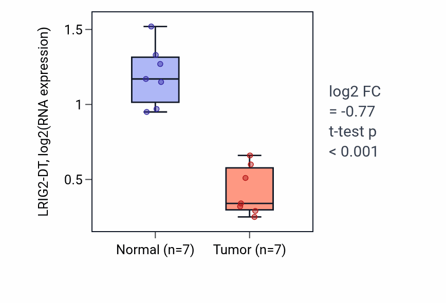 Tumor-vs-normal expression box plot for LRIG2-DT in THCA.