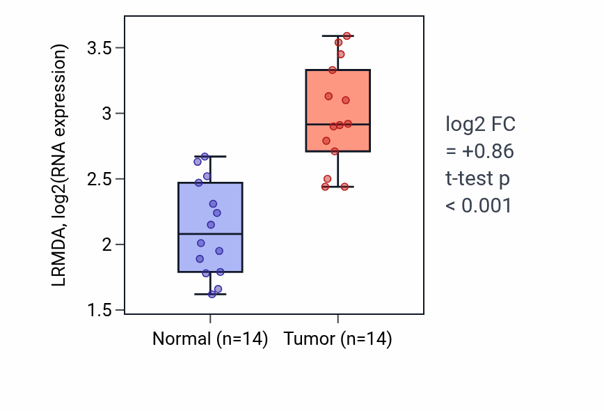Tumor-vs-normal expression box plot for LRMDA RNA in KIRC.