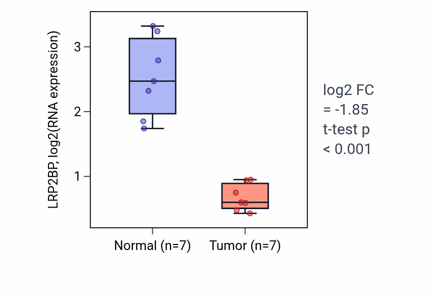 Tumor-vs-normal expression box plot for LRP2BP RNA in LUSC.