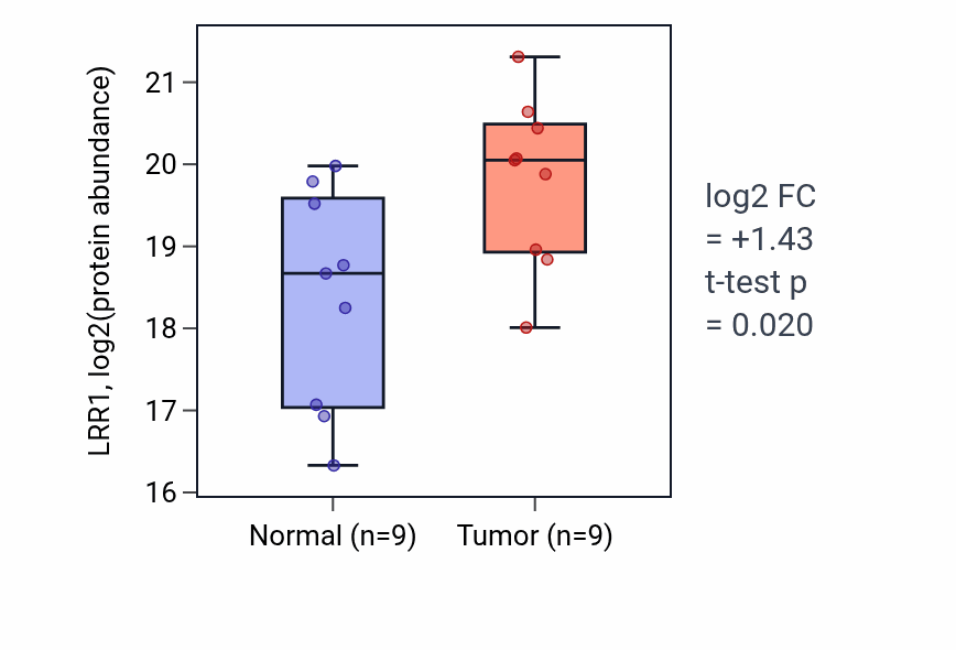 Tumor-vs-normal mass-spec protein box plot for LRR1 in HNSC.
