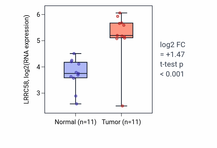 Tumor-vs-normal expression box plot for LRRC58 RNA in HNSC.