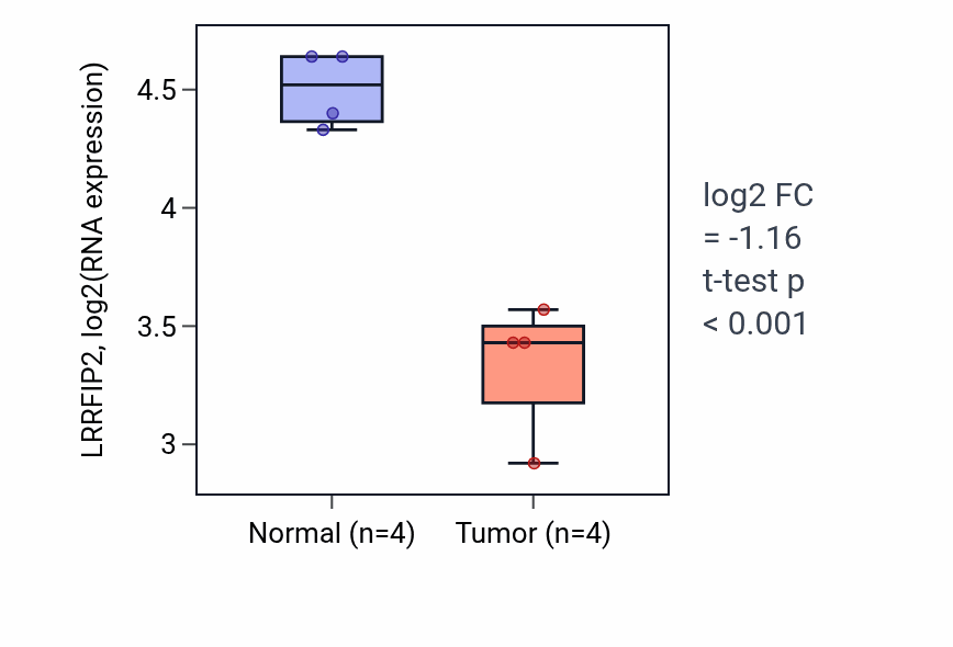 Tumor-vs-normal expression box plot for LRRFIP2 RNA in THCA.