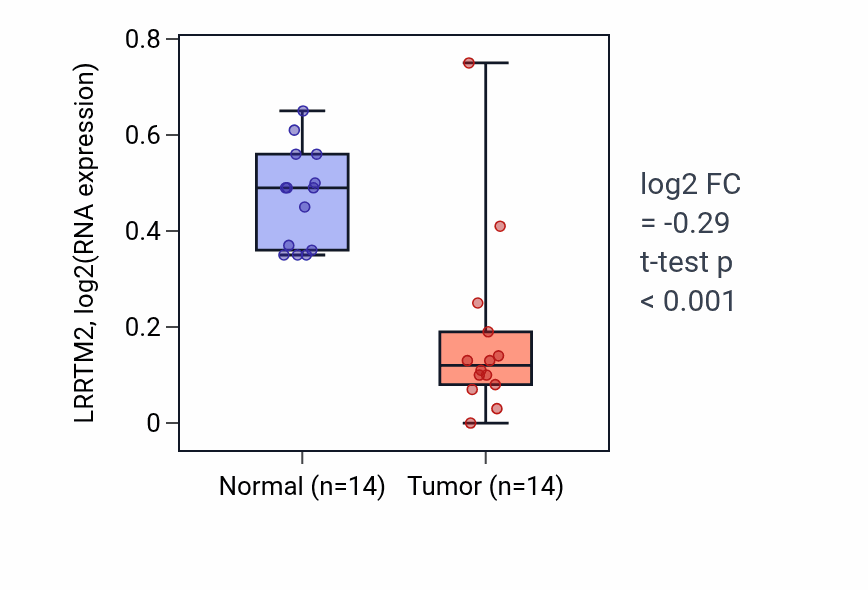 Tumor-vs-normal expression box plot for LRRTM2 in THCA.