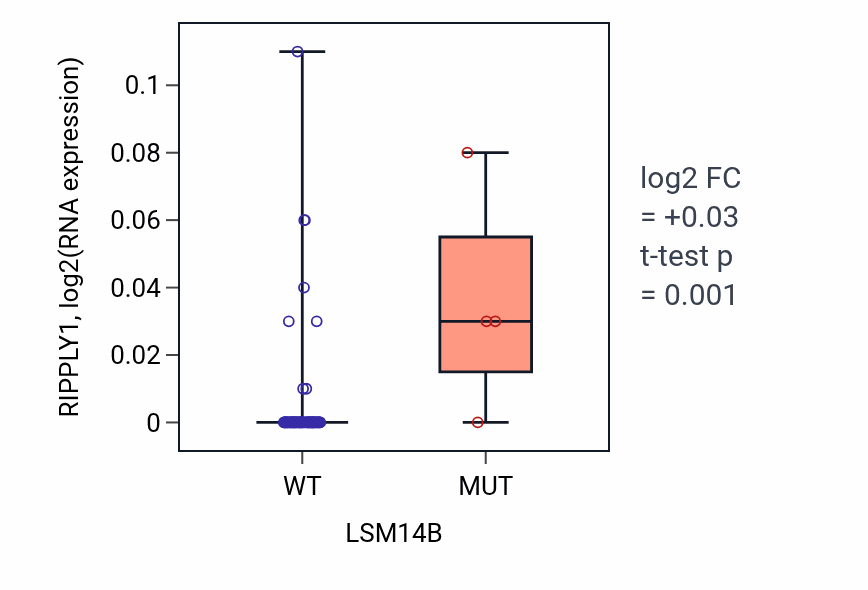 Box plot of RIPPLY1 in LSM14B-low vs LSM14B-high samples in BLOOD_Lymphoma.