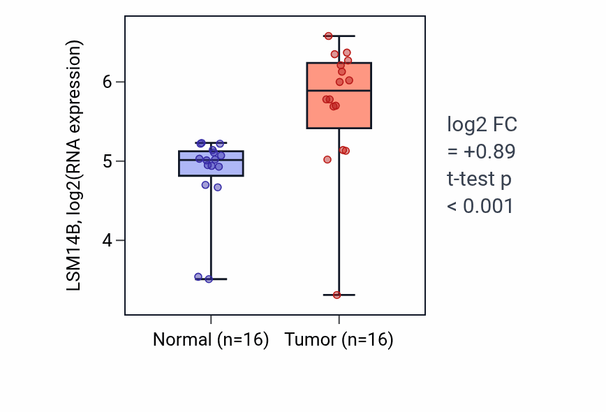 Tumor-vs-normal expression box plot for LSM14B RNA in HNSC.