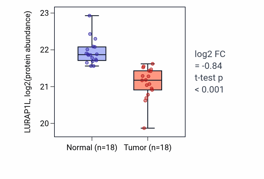 Tumor-vs-normal mass-spec protein box plot for LURAP1L in LSCC.