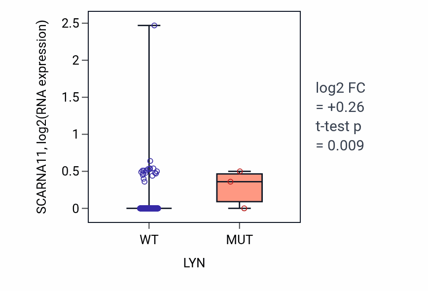 Box plot of SCARNA11 in LYN-low vs LYN-high samples in LIHC.
