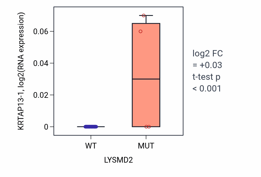 Box plot of KRTAP13-1 in LYSMD2-low vs LYSMD2-high samples in SKIN.