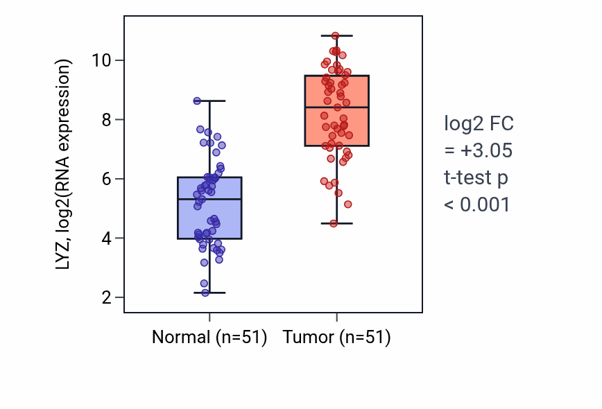 Tumor-vs-normal expression box plot for LYZ RNA in KIRC.
