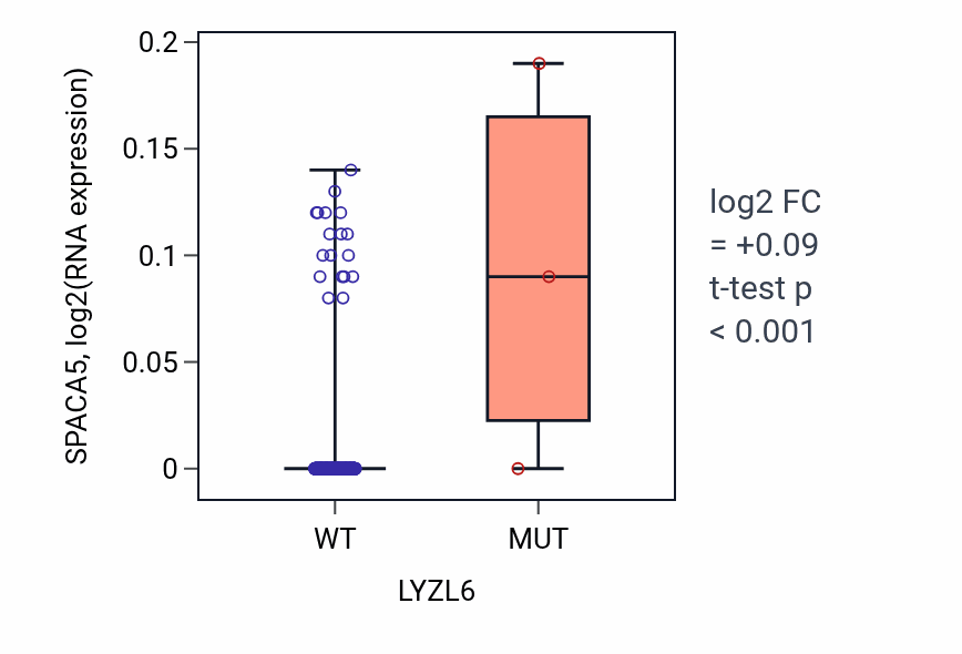 Box plot of SPACA5 in LYZL6-low vs LYZL6-high samples in LIHC.