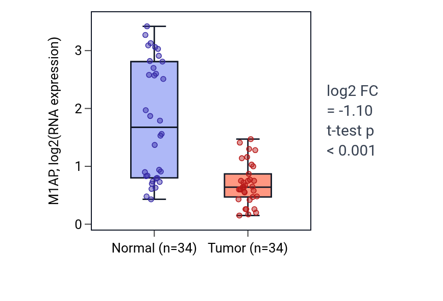 Tumor-vs-normal expression box plot for M1AP in KIRC.