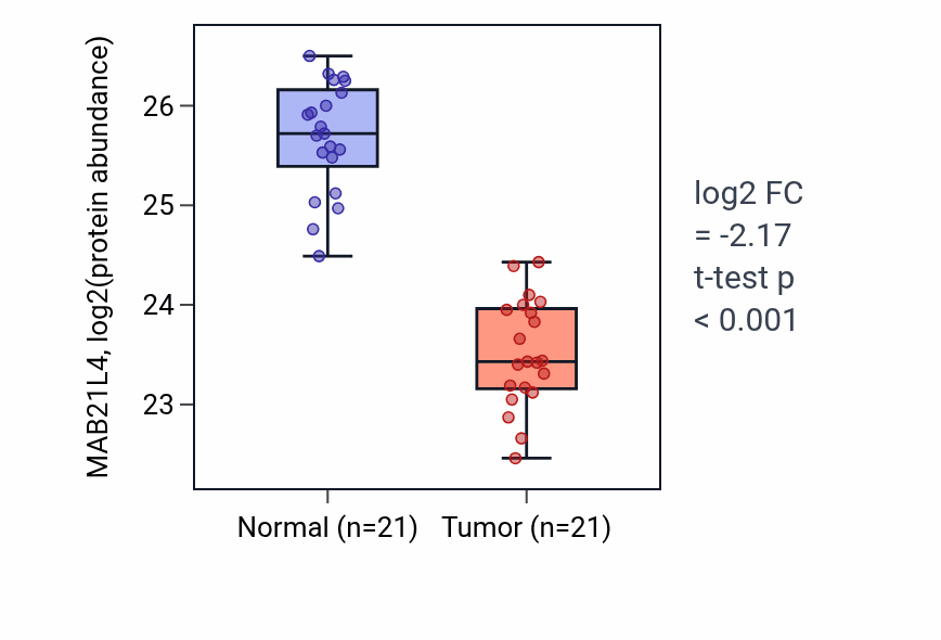 Tumor-vs-normal mass-spec protein box plot for MAB21L4 in HNSC.