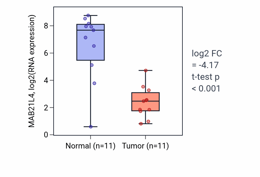 Tumor-vs-normal expression box plot for MAB21L4 RNA in HNSC.