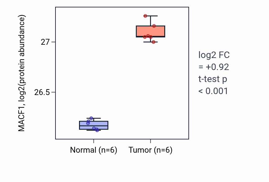 Tumor-vs-normal mass-spec protein box plot for MACF1 in HNSC.