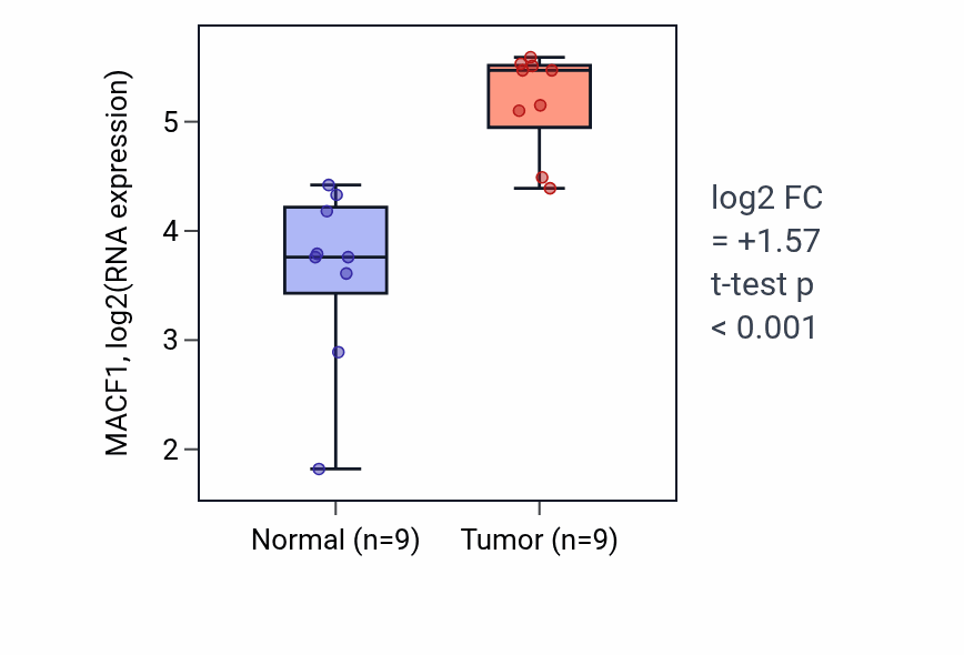 Tumor-vs-normal expression box plot for MACF1 RNA in HNSC.