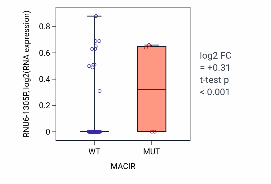 Box plot of RNU6-1305P in MACIR-low vs MACIR-high samples in LIHC.