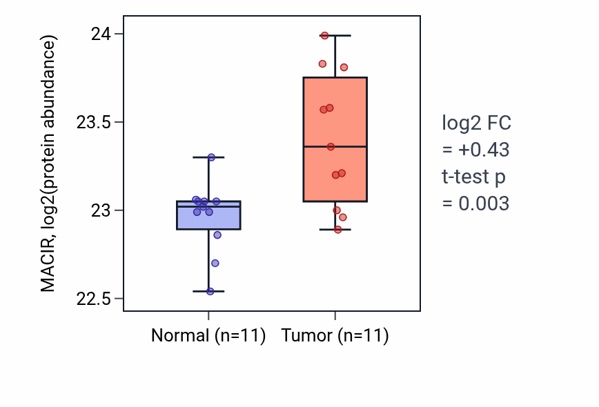 Tumor-vs-normal mass-spec protein box plot for MACIR in LUAD.