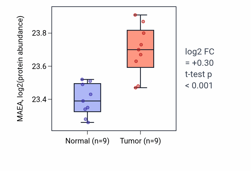 Tumor-vs-normal mass-spec protein box plot for MAEA in LSCC.